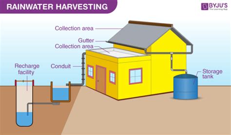 Rainwater Harvesting -Process, Advantages and Disadvantages