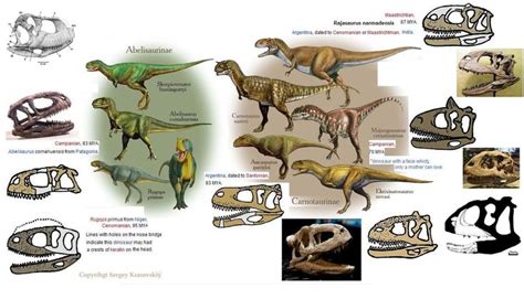 Carnotaurinae