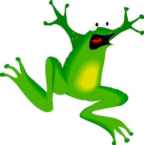 Clipart - Architetto rana 01 Frog