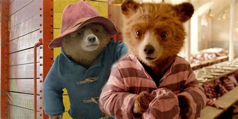 Paddington 3 Confirmed: Release Date, Plot and Cast Details