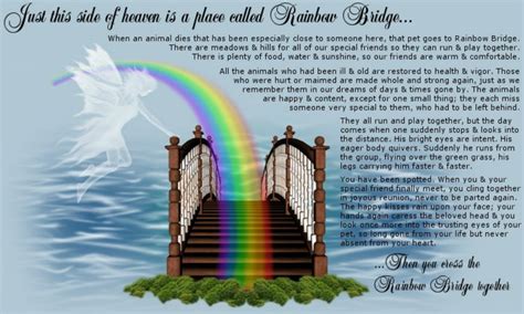 Rainbow Bridge - Funny Bunny's Farm