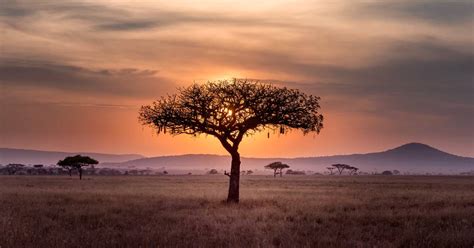 Serengeti Weather & Climate: All You Need To Know - TourRadar