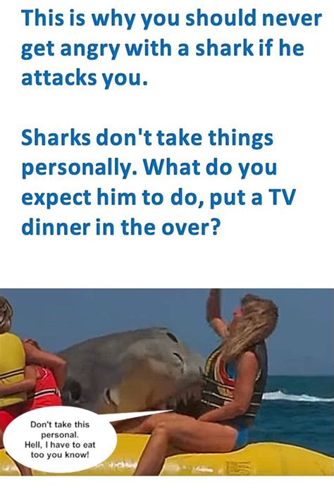 shark activities, shark attack, memes funny, savage memes hilarious ...