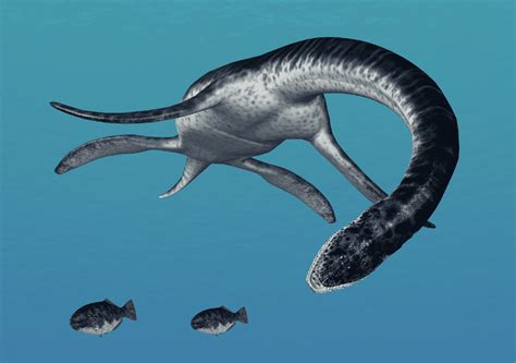 Plesiosaurus - Animal Corner