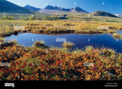 Rondane Norway Stock Photo - Alamy