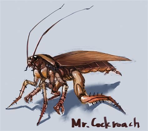 Mr. cockroach by sgfw on DeviantArt