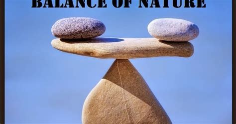 Thoughts to Promote Positive Action...: Balance of Nature