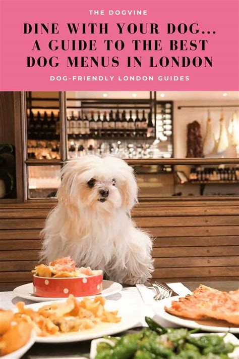 Dine With Your Dog | A Guide To The Best Dog Menus in London