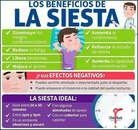 Pin by Nancy Feigenbaum on La siesta | Health and wellness, Healthy ...