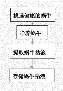 Extraction equipment and method of living snail mucus - Eureka | Patsnap develop intelligence ...