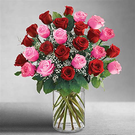 Ultimate Elegance 2 Dozen Long Stem Pink and Red Roses