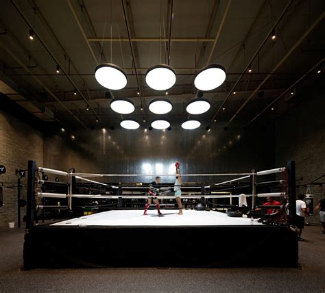 lab 100: the burrows boxing gym kuwait