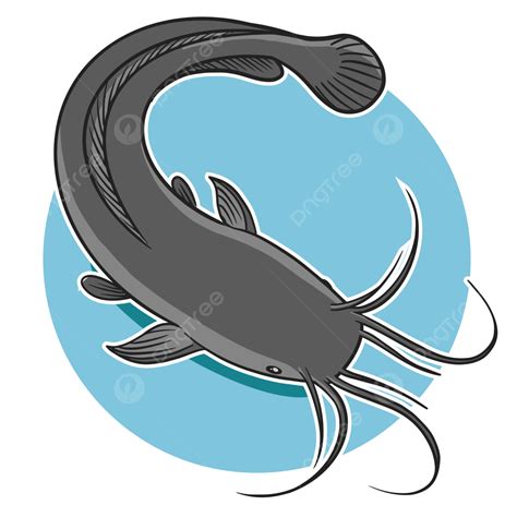 Catfish Clipart Transparent Background, Catfish Vector, Catfish, Fish ...