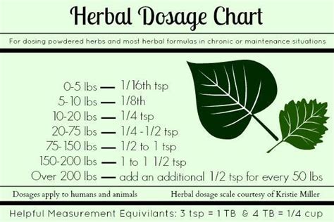 Herbal Tincture Dosage Chart