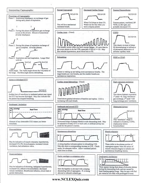 Capnography Cheat Sheet - NCLEX Quiz | Nursing cheat, Nursing cheat ...