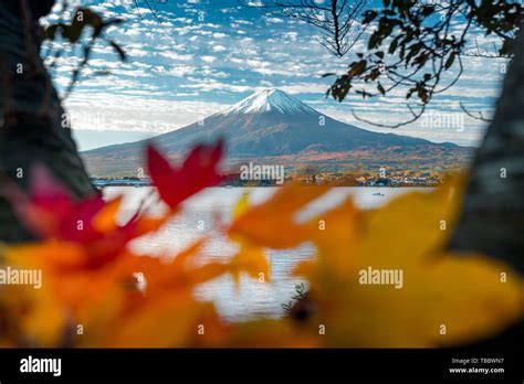 Mount Fuji and Lake Kawaguchiko in Autumn Leaves Stock Photo - Alamy