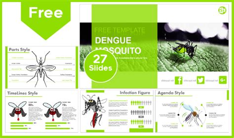 Dengue mosquito Template - PowerPoint Templates and Google Slides