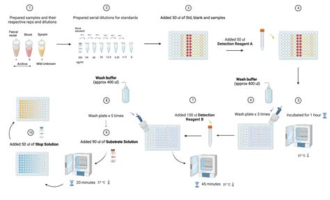 Competitive ELISA General Protocol | BioRender Science Templates