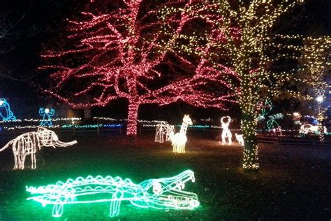 Zoo Lights at Hogle Zoo is one of the very best things to do in Salt ...