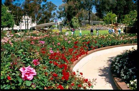 Balboa Park Gardens Cost – Beautiful Flower Arrangements and Flower Gardens