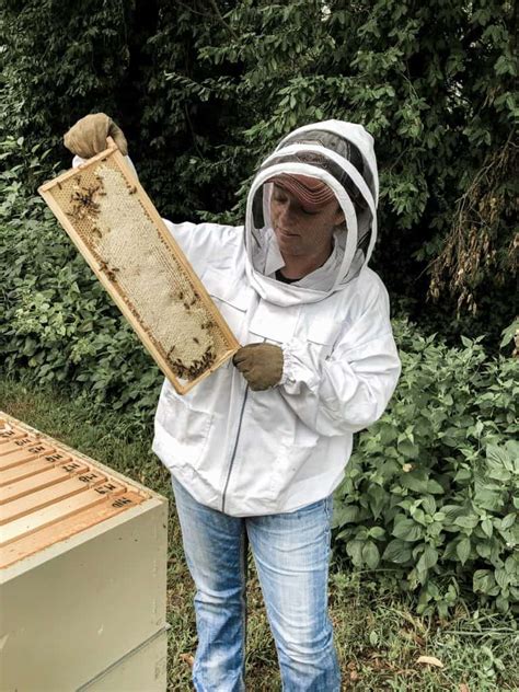 Backyard Beekeeping for Beginners | Rocky Hedge Farm