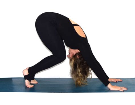 Downward Facing Dog Poses - 10 New Ways To Do Downward Dog | By ...