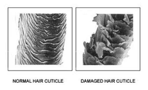 Why is Keratin Good for Your Hair? Here's the Scoop! - Barron's London Salon