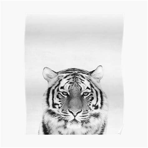 "Tiger" Poster for Sale by juliaemelian | Redbubble