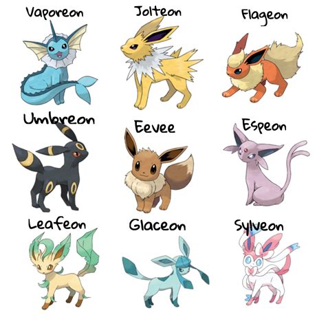 Evoluciones de Eevee | Evoluciones de eevee, Pokemones evoluciones, Imagenes de animales kawaii