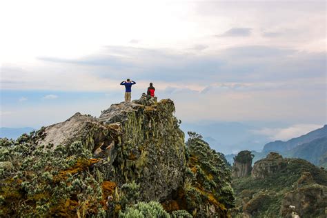 Rwenzori Trekking: Mountains of the Moon (Day 3) • Nomadic by Nature