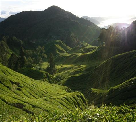 Highland Climate - Bing images