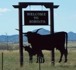 10 Stunning Sonoita Wineries To Visit