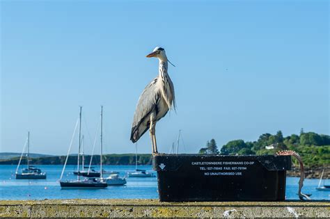 Ireland will be hotter than the Canaries this weekend as weather chiefs ...