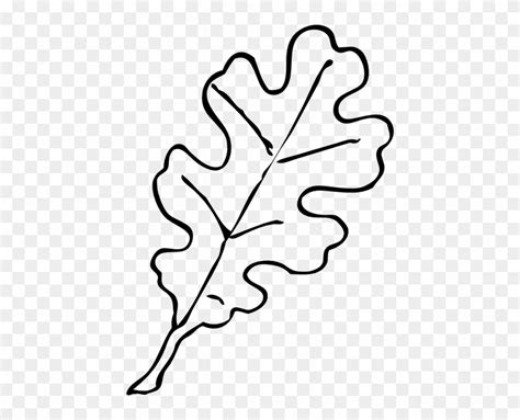 Oak Leaf Outline Clip Art - Oak Tree Leaf Drawing - Free Transparent PNG Clipart Images Download