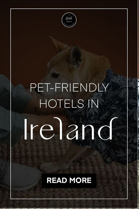 PET FRIENDLY HOTELS IRELAND - Hotel Collective | Pet friendly hotels ...