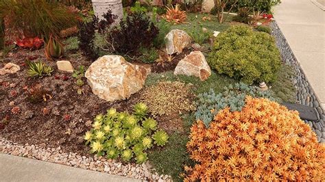 15 Amazing Desert Landscaping Ideas | Green and Vibrant