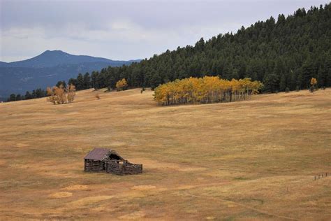 Autumn in the Meadow Photograph by Larry Kniskern - Pixels