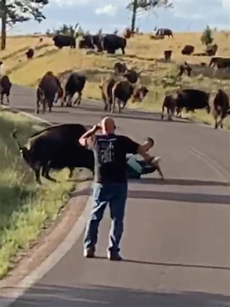 Bison rips off woman’s pants in horrifying attack caught on video ...