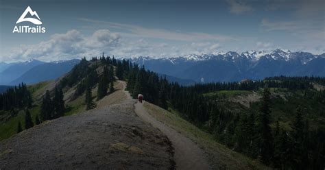 Best Trails near Port Angeles, Washington | AllTrails.com