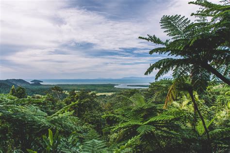 About the Daintree Region | Daintree Rainforest Info | Daintree Ferry