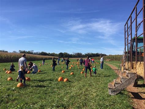 Fall Fest | Northern Star Farm