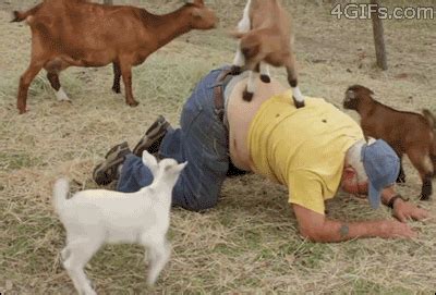 And ALL OF THESE GOATS that want this man to know how happy they ALL ARE. | 23 Goats Who Cannot ...
