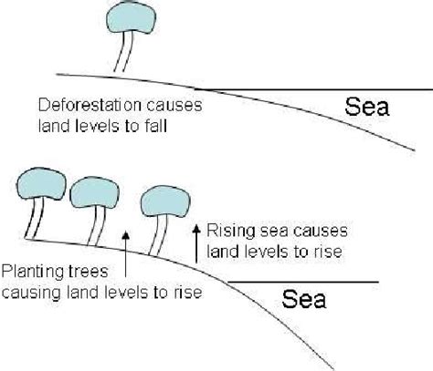 Forestation and Vegetation holding back sediment otherwise destined for ...