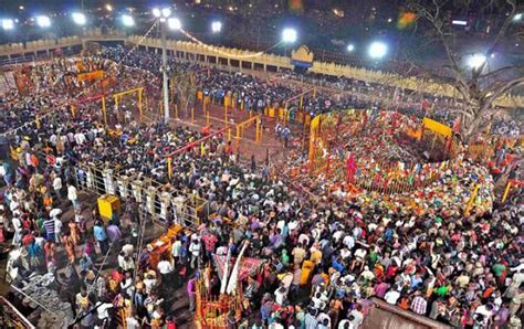 Medaram Jatara Festival - Hindu Tribal Festival Telangana.