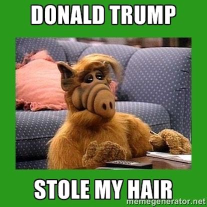 16 Donald Trump Hair Memes So Funny You’ll Actually Be Grateful He’s ...