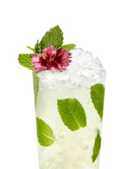 Elderflower Mojito Cocktail Recipe | Rum and Elderflower Cocktail | St ...