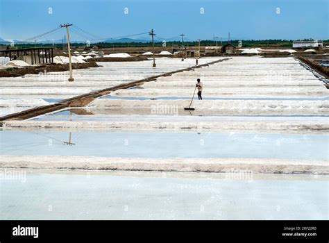 Salt pan in Thoothukudi Tuticorin, Tamil Nadu, South India, India, Asia ...