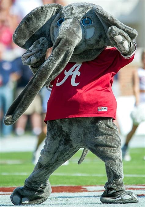 Top 25 College Football Mascots, Hot Clicks - Sports Illustrated