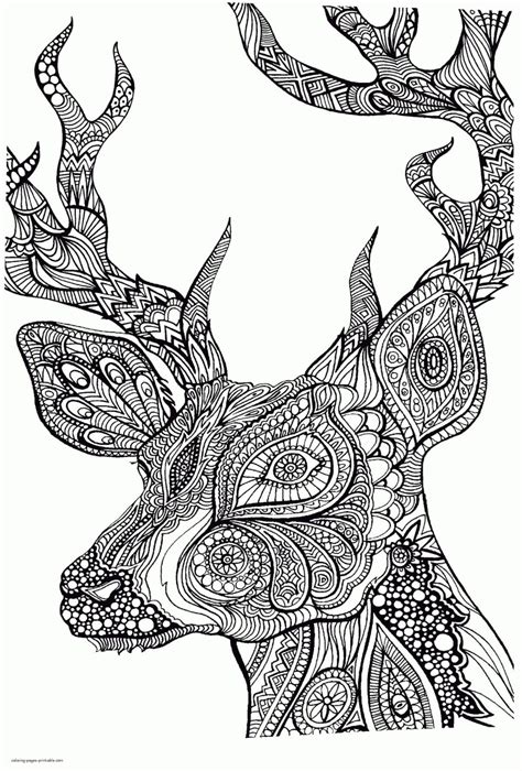 Get This Adult Coloring Pages Animals Deer