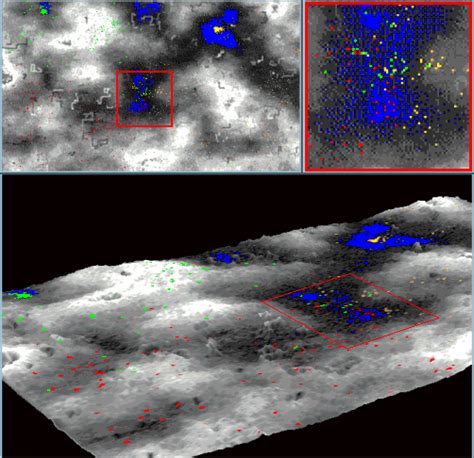 Joseph Rhea: Notes on Building an Artificial Life Simulation